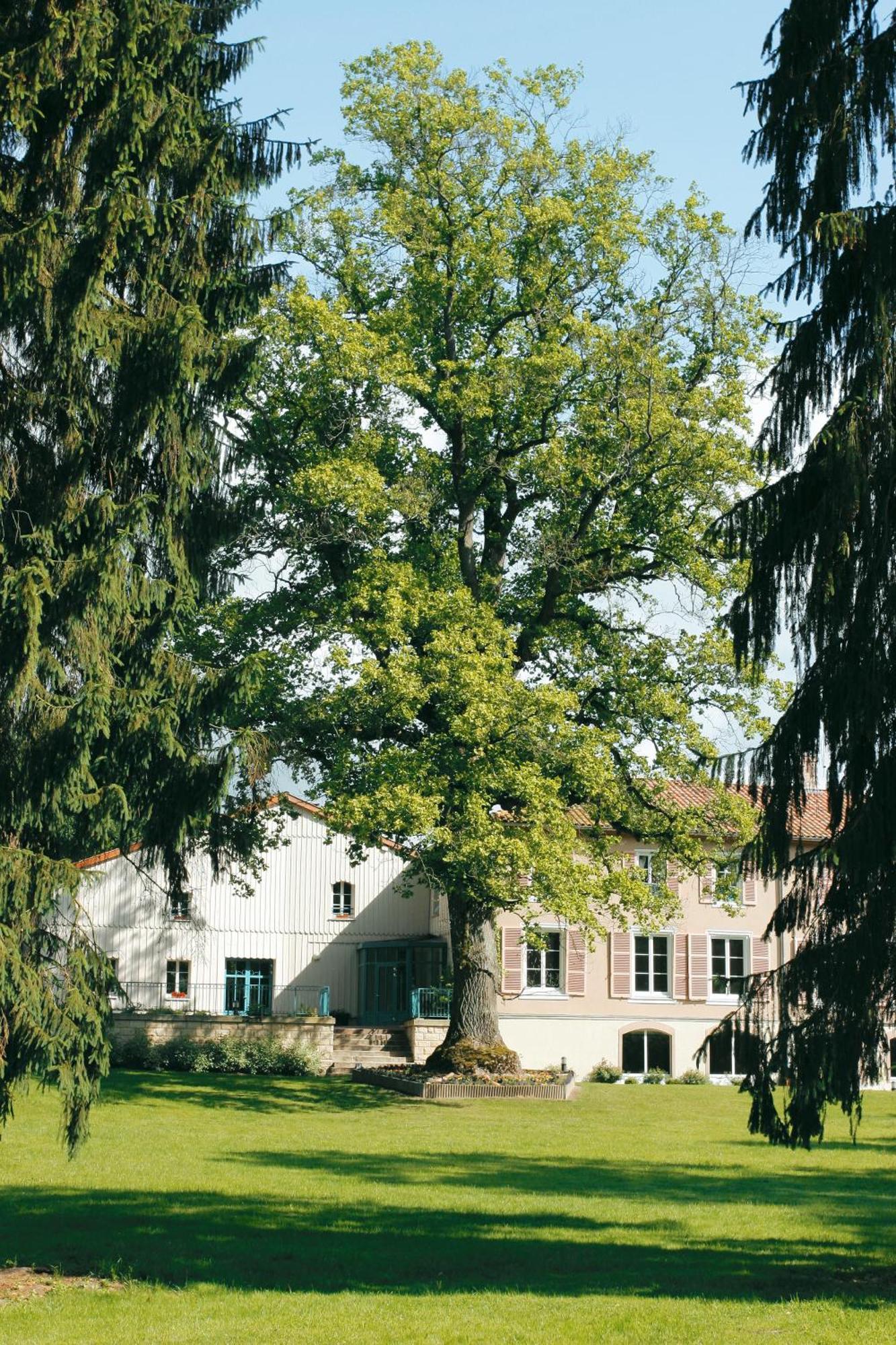 Logis Hotel - Restaurant Le Tulipier Vienne-le-Château Kamer foto